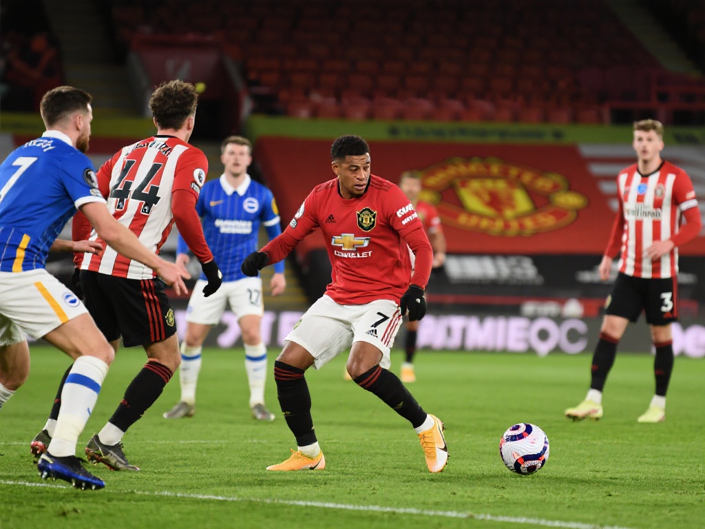 球队乃至整 球队乃至整